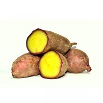 Batata-Doce de Aljezur